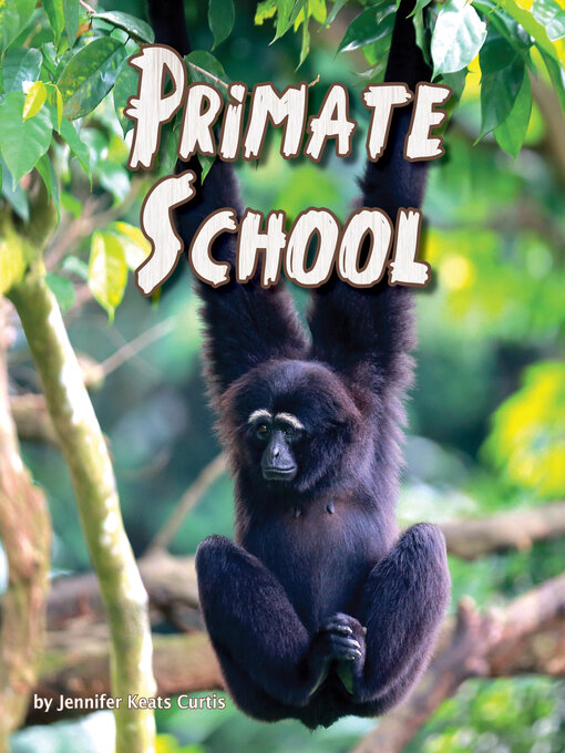 Title details for Primate School by Jennifer Keats Curtis - Available